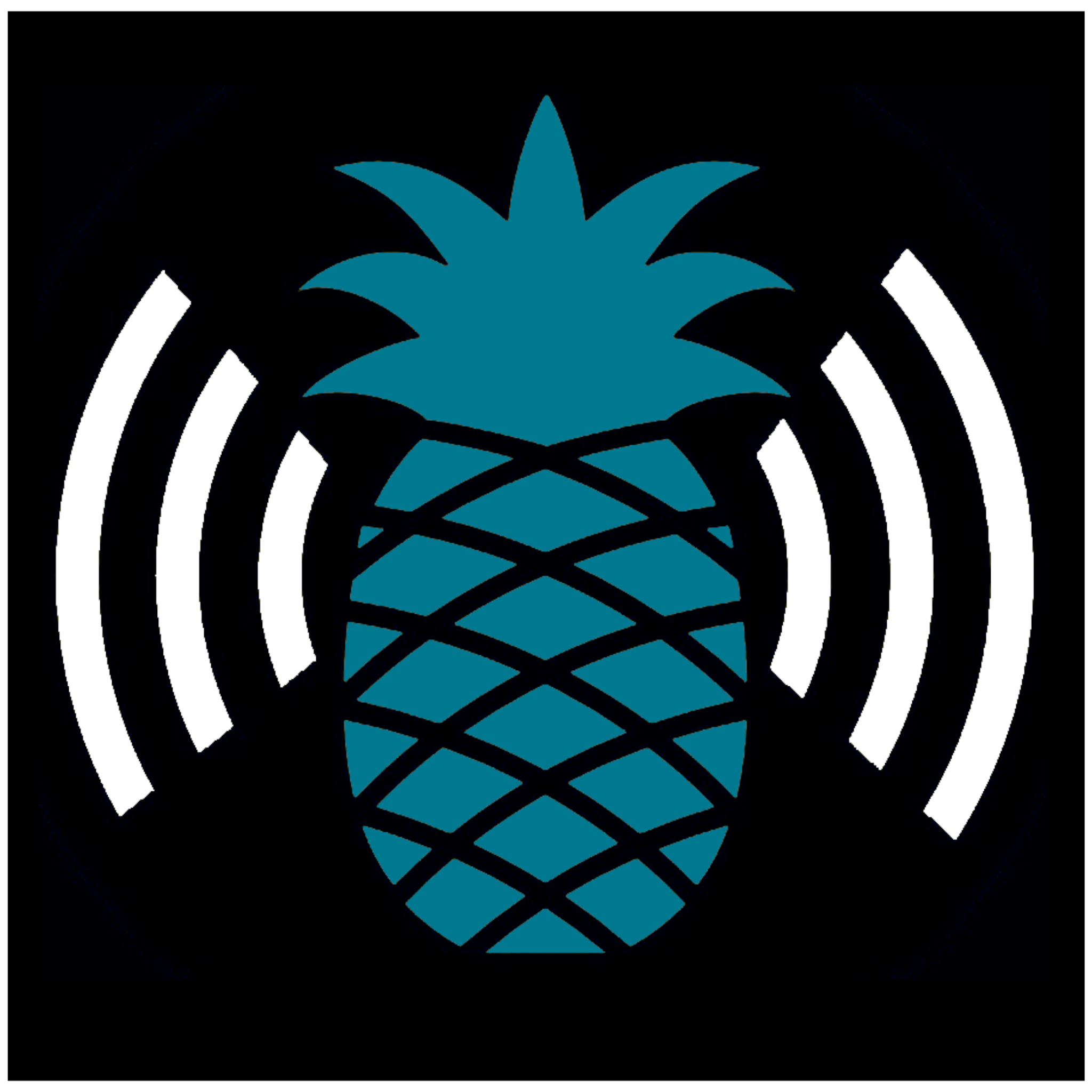 Wi-Fi Pineapple