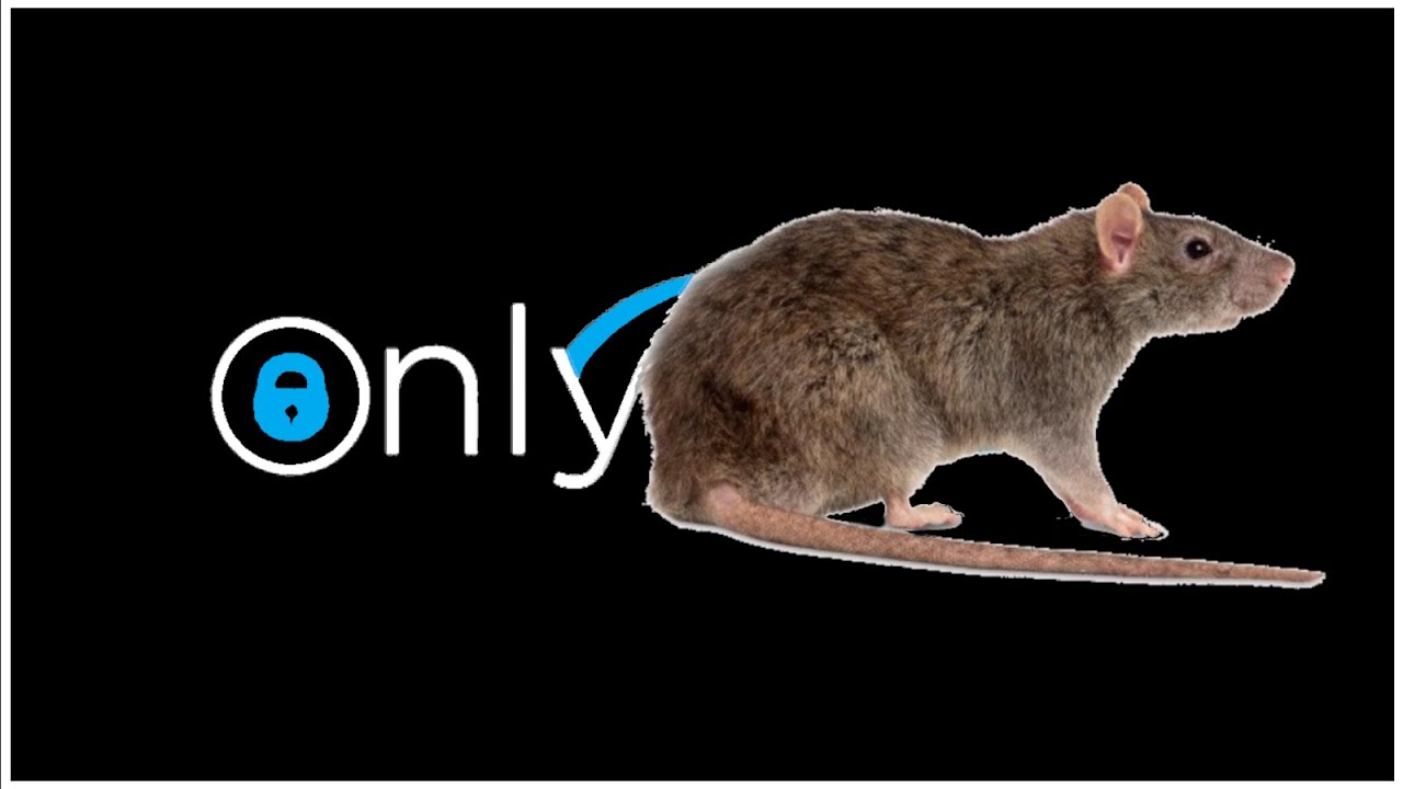 MK01-OnlyRat